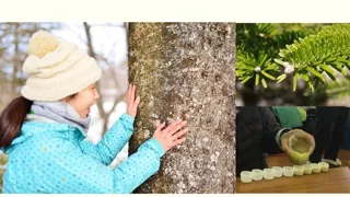 森deリトリート ～モミのハンドクリームづくり～