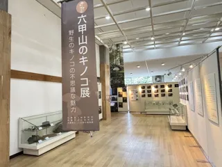 第10回 六甲山のキノコ展 ～御影高生による展示解説～