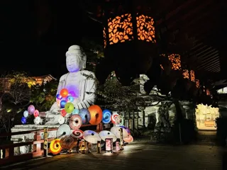 壷阪寺「光の巡礼」〜和傘アートで繋ぐ巡礼の旅〜