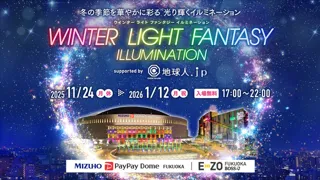 WINTER LIGHT FANTASY ILLUMINATION