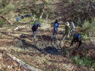 飯能にくらすサンショウウオの生態を学ぼう！～産卵地の保全作業編～
