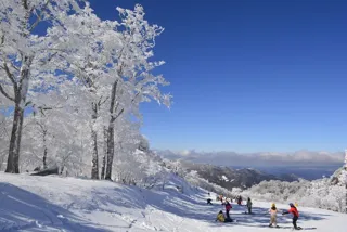 五ヶ瀬ハイランドスキー場 2026 SEASON オープン
