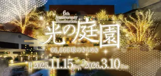 「空庭温泉」光の庭園～66,666球のきらめき～