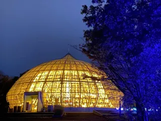 福井県総合グリーンセンター イルミネーション