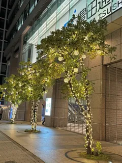 センチュリー豊田ビル イルミネーション