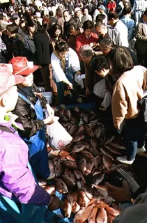 第43回 下関さかな祭