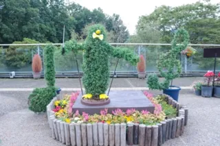 菊のトピアリー展