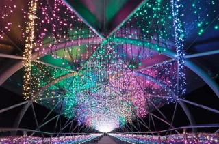 フラワーイルミネーション2025