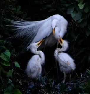 自然と四季の輝き 〈グループ写真展〉