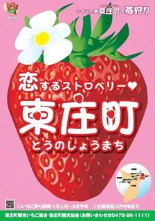東庄町いちご狩り