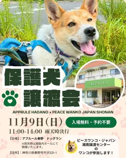 保護犬譲渡会　アプルール秦野