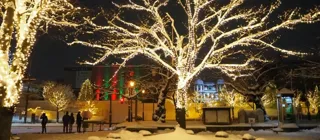 弘前市役所前庭イルミネーション