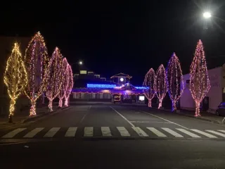 豊里　冬の蛍通り