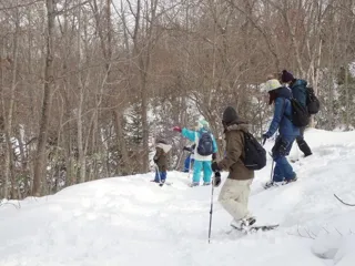 冬の森　おさんぽガイド