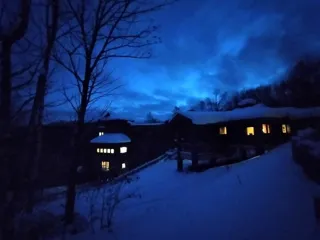 スノーシューワイルドツアー　夜の森編