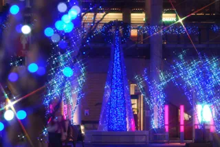 ASHIBINAA Winter Elegance イルミネーション2025-2026