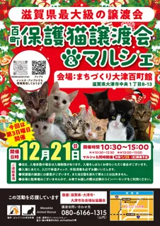 百町保護猫譲渡会＆マルシェ（12月）