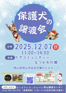 保護犬の譲渡会