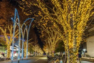 ハンドメイドマルシェ in 都立光が丘公園（12月）