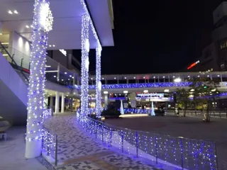 第33回土浦ウィンターフェスティバル