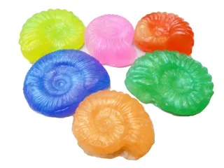 淡路島国営明石海峡公園　アンモナイトのクイズと化石のレプリカ作り