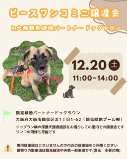 ミニ譲渡会in大阪鶴見緑地パートナードッグタウン