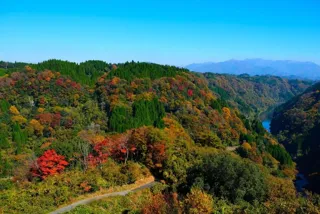 【紅葉・見ごろ】蘇陽峡