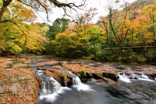 【紅葉・見ごろ】菊池渓谷