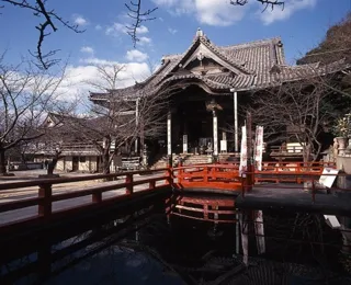 紀三井寺　初詣