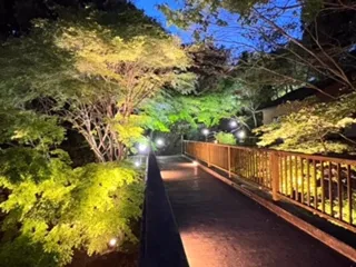 出会い橋ライトアップ