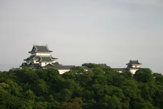 新春つれもて歩こう走ろう会