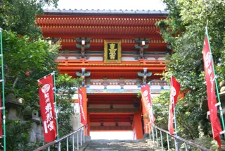 紀州東照宮　初詣