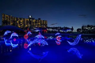 ルネッサンス　ドルフィンイルミネーション2025－2026