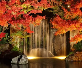 姫路城西御屋敷跡庭園　好古園　紅葉会