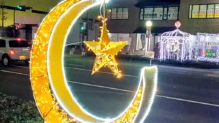 第16回レインボー・イルミネーションフェスティバル