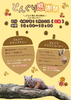 どんぐり感謝祭2025