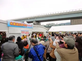 長崎県水産加工まつり in 佐世保