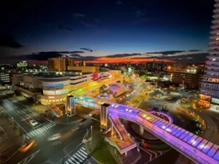 かりやストリートイルミネーション2025