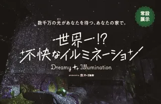 世界一！？不快なイルミネーション