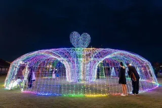 光のファンタジー菊池2025