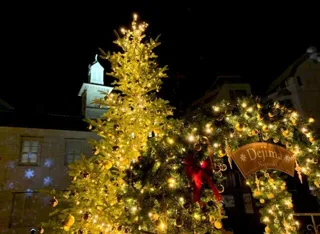 出島オランダ冬至