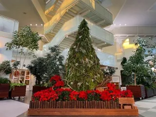 クリスマス花のオブジェ展