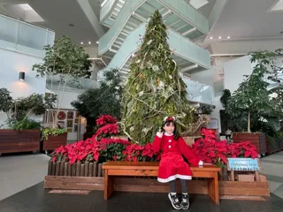 サンタになってみよう