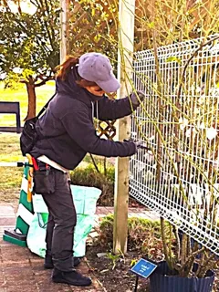 ツルバラ剪定講習会