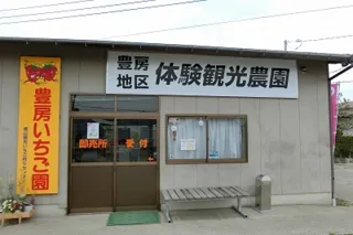 館山でいちご狩り　（とよふさいちご園）