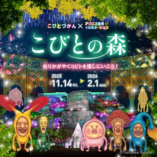 アクロス福岡イルミネーション