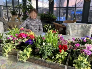 ケイ山田のらん展＆春の寄植え展　～テーブルの上に春が来た～