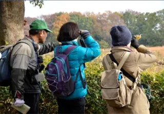国営昭和記念公園　野鳥観察会（12月）