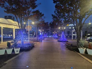 蒲郡駅前ライトアップ＆イルミネーション（シティドレッシング）