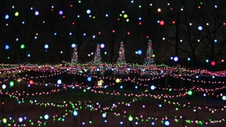 道の駅ウィンターナイトガーデン